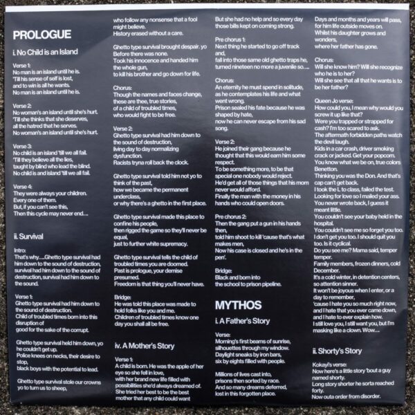 QUITE SANE - To Kill a Child of Troubled Times - 180g Audiophile double LP - Image 11